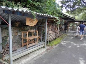 高知県 SHADE TREEカフェ