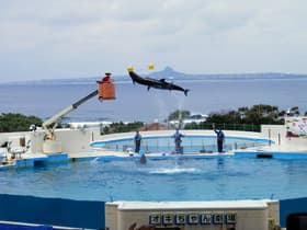 沖縄県 美ら海水族園