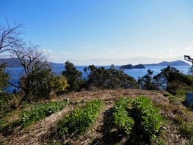 東廻り遊歩道途中の景色