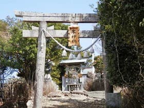 徳島県 明神山