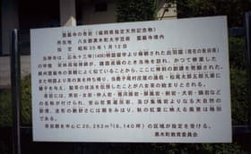 説明