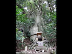 兵庫県 岩戸神社