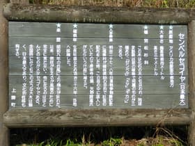 説明看板