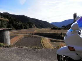 徳島県 八重地の棚田