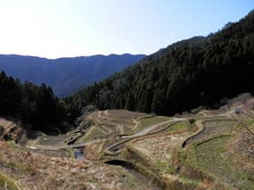 徳島県 樫原の棚田