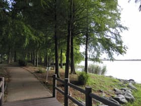池の周りの遊歩道
