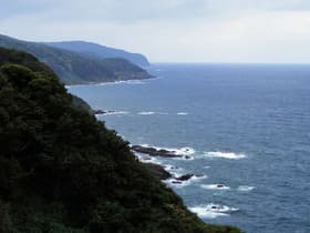 西側展望