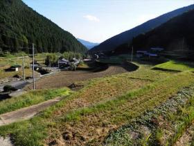 兵庫県 岩座神棚田