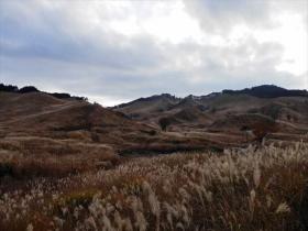 兵庫県 砥峰高原