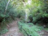 途中の散策路