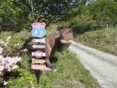 兵庫県 恐竜モニュメント
