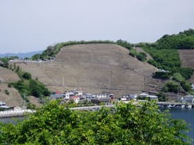 愛媛県　遊子水荷浦の段畑