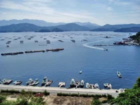 水荷浦の段畑からの景色
