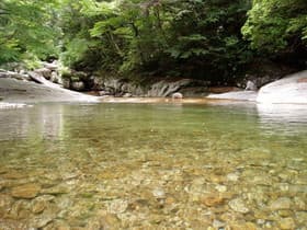 透明な水