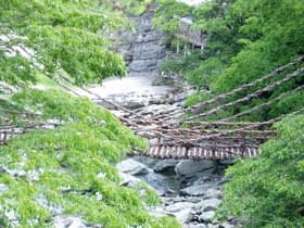 徳島県　かずら橋