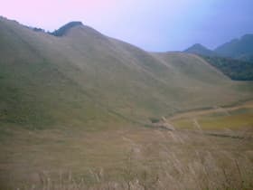 曽爾高原