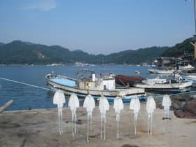 伊根湾内の風景