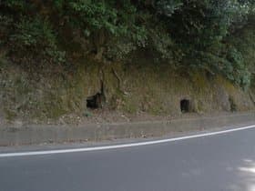 防空ごう跡1　