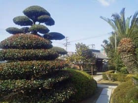 庭園