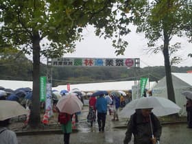 入口