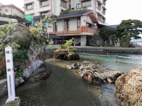 近くの池