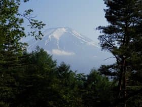 庭園からの富士