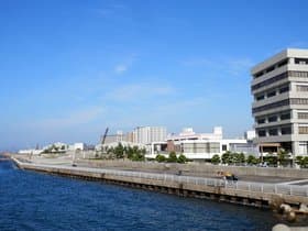 市役所裏釣り場2