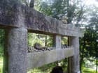 岡山県吉備津神社の鳥居